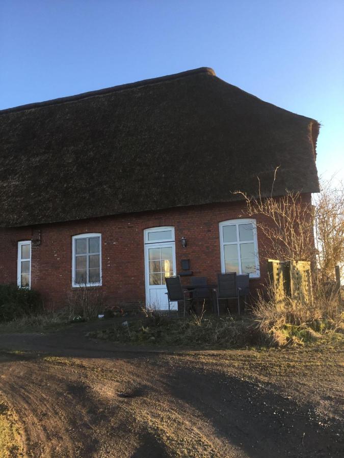 Ferienwohnung-Haus-Luetje-Wehr Hattstedtermarsch المظهر الخارجي الصورة
